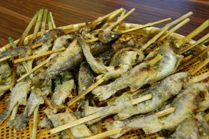 やまめのつかみ取り大会5 やまめのつかみ取り大会5