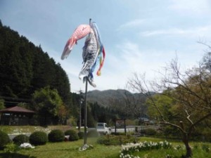 P1030223 のコピー